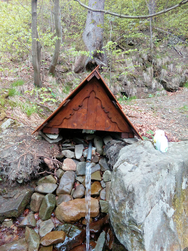 studánka Bolibřuška (1189) - květen 2022