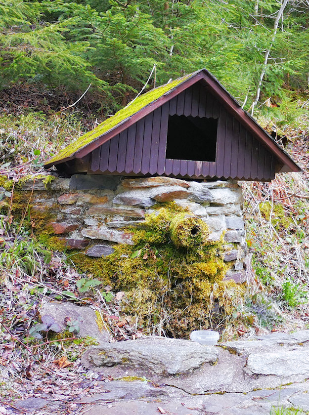 studánka bez jména (1193) - květen 2021
