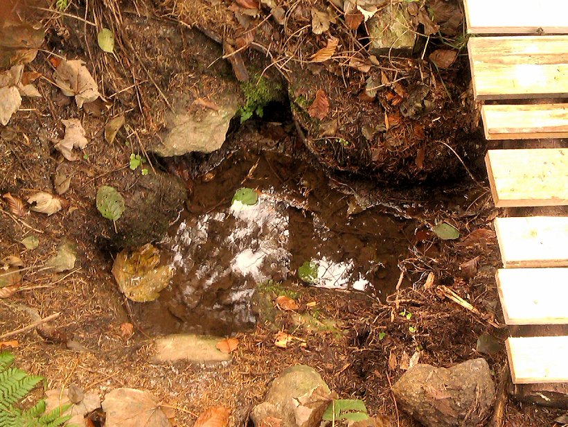 Permoníkova studánka (1195) - datum neznámé