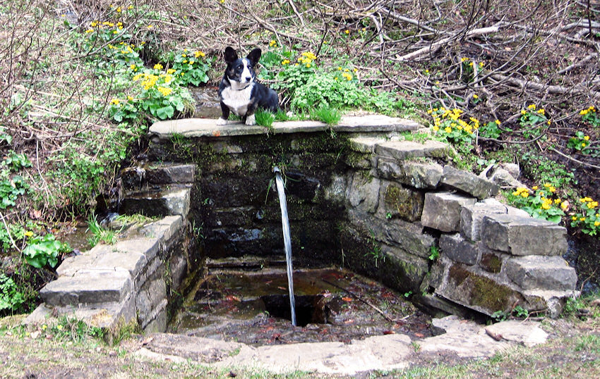 studánka Loriška (1198) - duben 2009