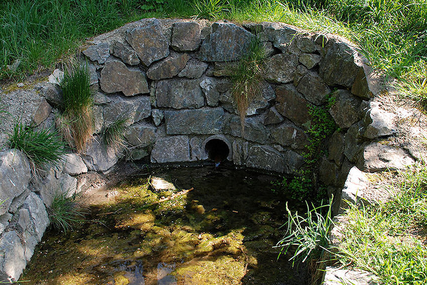 pramen Nad rybníčkem (1225) - květen 2009
