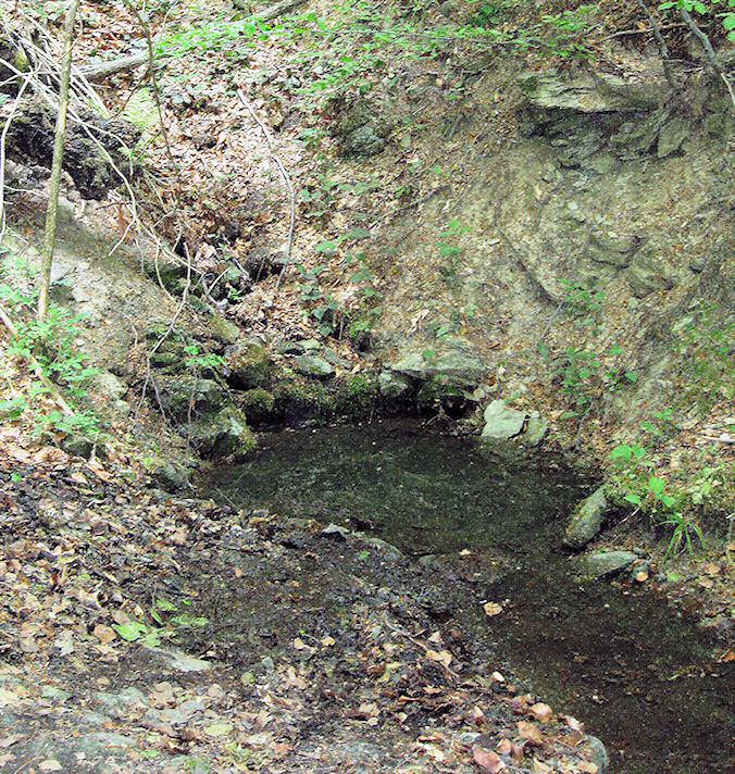 pramen U Smolských (1234) - květen 2009
