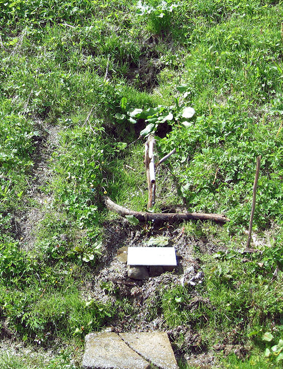 pramen Bumbálka (1238) - květen 2009