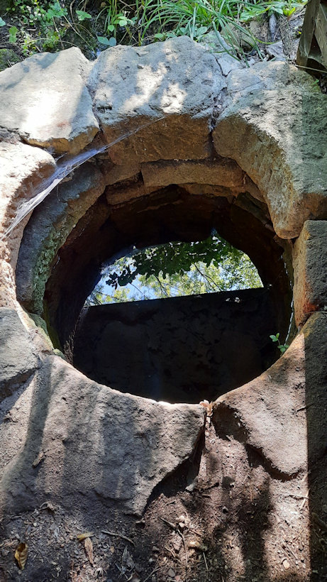 studánka Žehrovická (1247) - září 2022