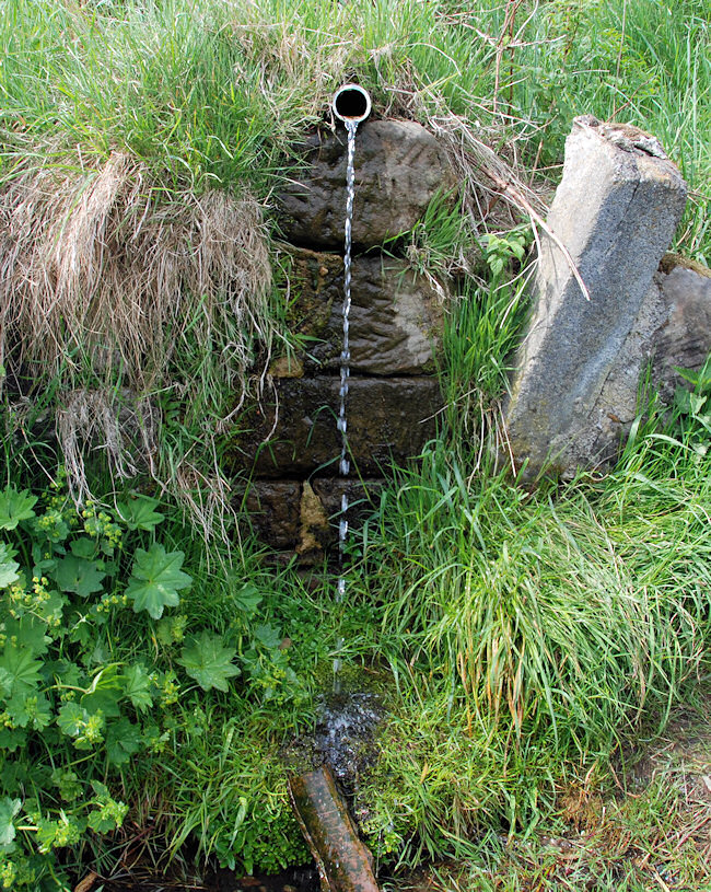 jiný vodní zdroj bez jména (1250) - květen 2009
