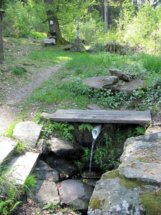 Studánka Panny Marie (1254) - květen 2009