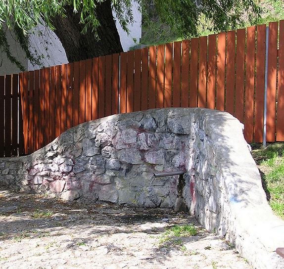 studánka Topolka (1255) - červen 2025