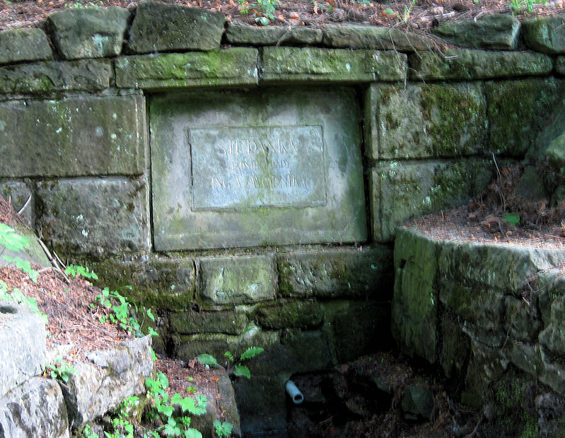 studánka Pod Soláněm (1258) - květen 2009