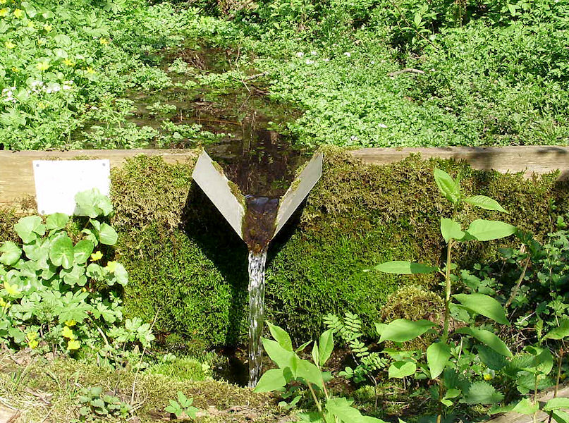 Pramen u Jistebníka (1263) - květen 2009