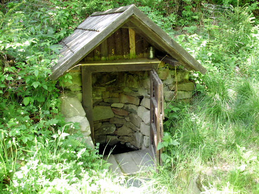 studánka Mannova (1264) - květen 2009