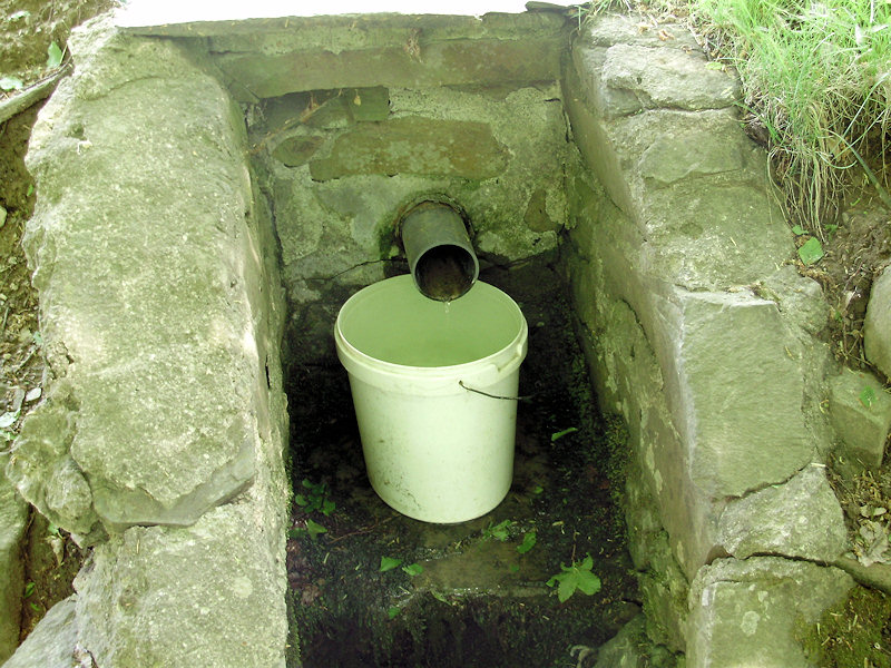 studánka U Chaty (1265) - květen 2009