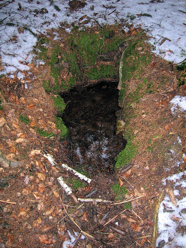 pramen Pod Krkavčinou (1282) - květen 2009