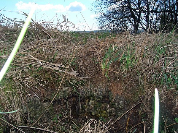 studna bez jména (1286) - květen 2009