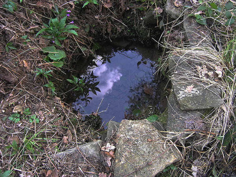 Šimůnkova studánka (1293) - srpen 2012