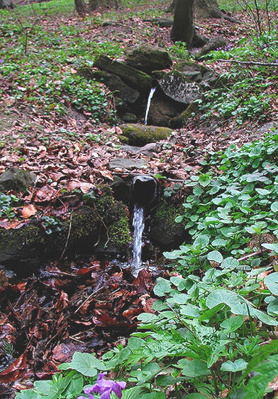 studánka Na Brdu 1 (1296) - srpen 2012