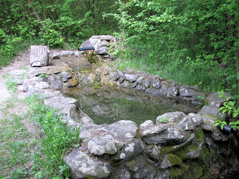 studánka Mnetěšská (1300) - květen 2009