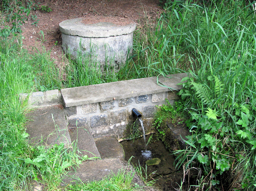 studánka bez jména (1306) - květen 2009