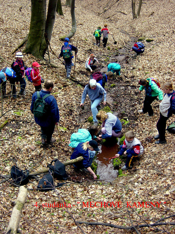 studánka U mechových kamenů (1308) - květen 2009