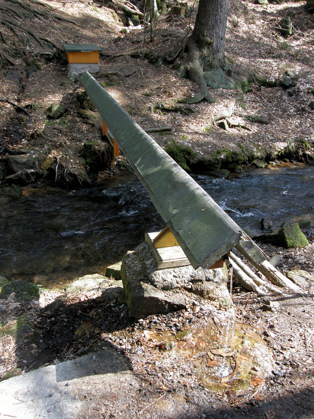 studánka Miletínská (1311) - květen 2009