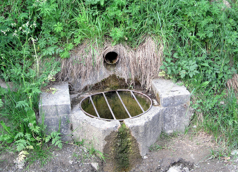 pramen Rokytnice (1317) - květen 2009