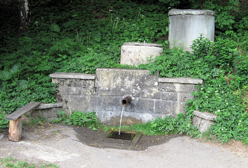 pramen Langrova studánka (1318) - květen 2009