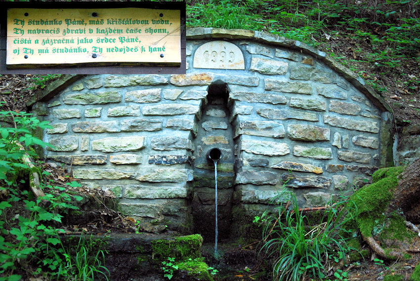 studánka Na husím krku (1329) - květen 2009