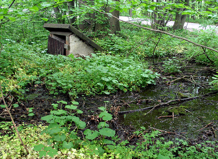 studna bez jména (1347) - květen 2009