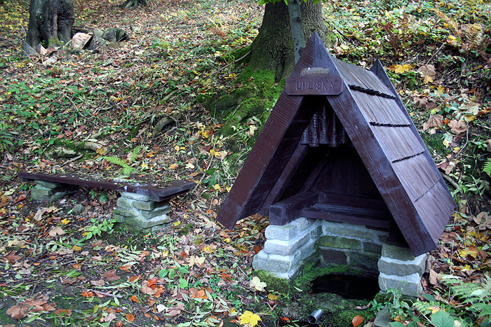 studánka Uhliska (1348) - květen 2009