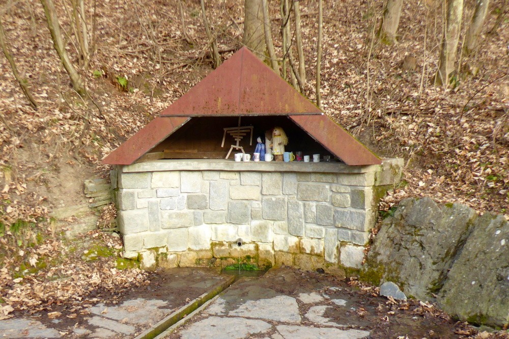 studánka bez jména (1357) - únor 2025