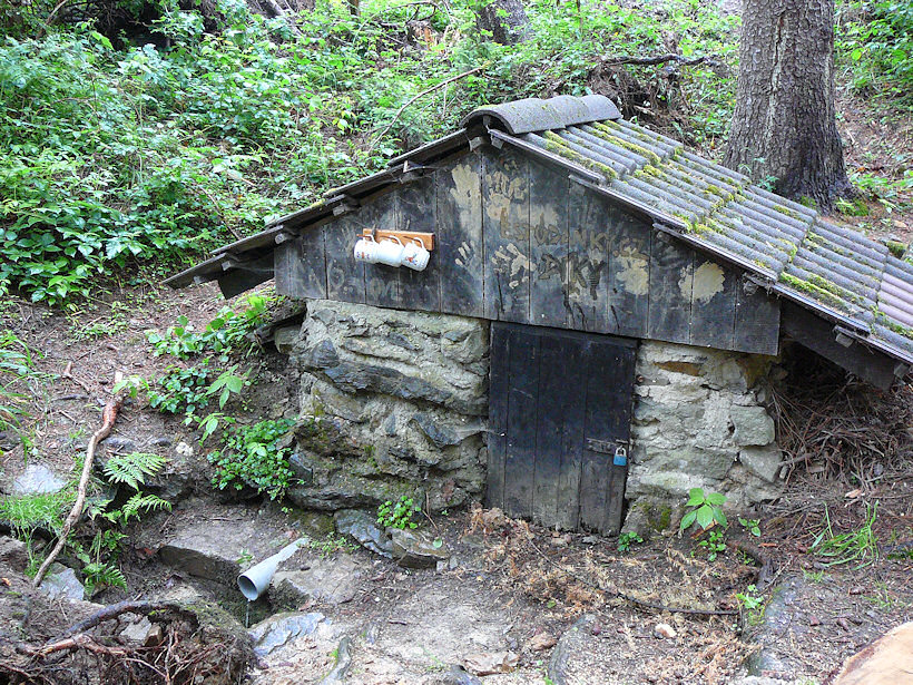 studánka bez jména (1359) - květen 2009
