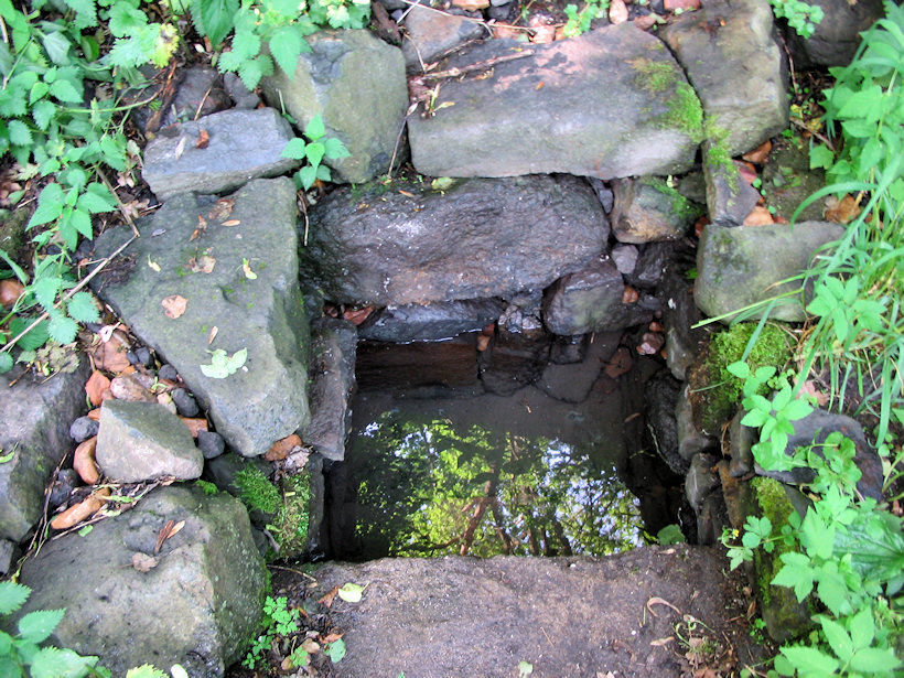 studánka bez jména (1362) - červen 2009