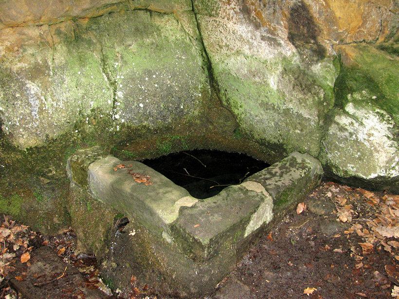 studánka bez jména (1364) - červen 2009