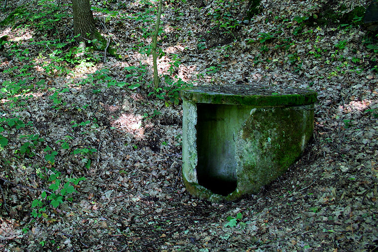 studna Pod Kulíškem (1365) - červen 2009