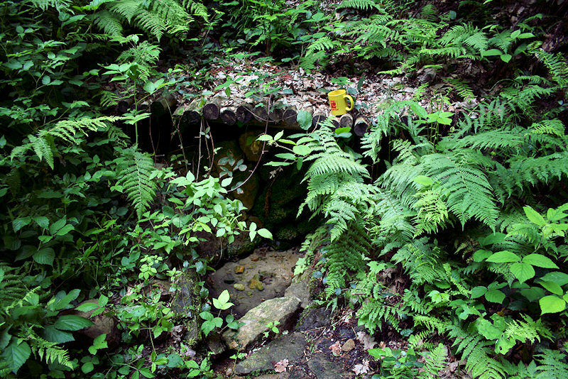 Kinclova studánka (1366) - červen 2009