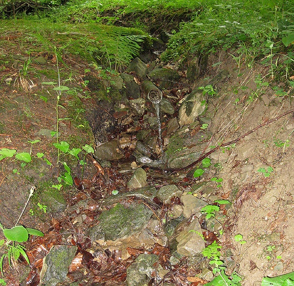 pramen Pod Rubiskem (1373) - říjen 2011