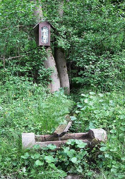 pramen U Maršálů (1376) - červen 2009