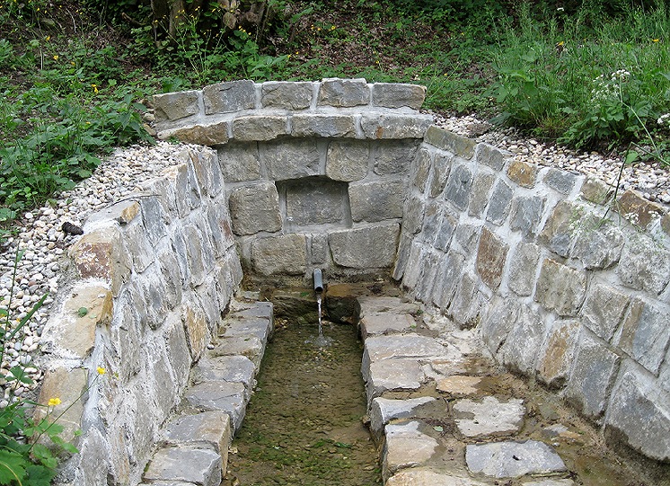 pramen Pod Rohatinou (1378) - červen 2009