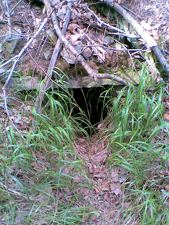 studánka Bouchalka (1379) - červen 2009