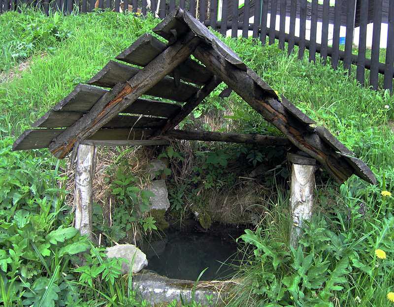 studánka bez jména (1388) - červen 2009