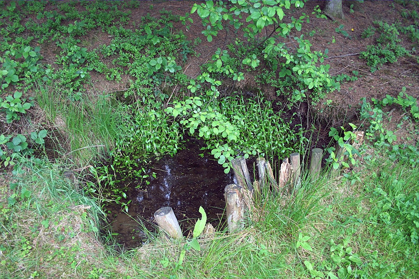 pramen bez jména (1389) - červen 2009