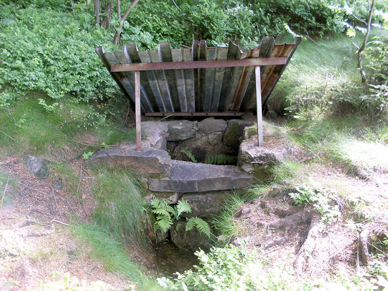 Dobrovodská léčivá studánka (1390) - červen 2009