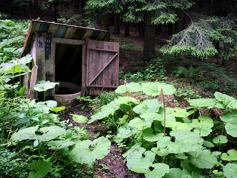 studna nad Putýrkou (1392) - červen 2009