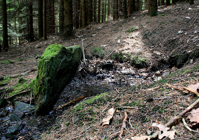 Jelení studánka (1394) - červen 2009