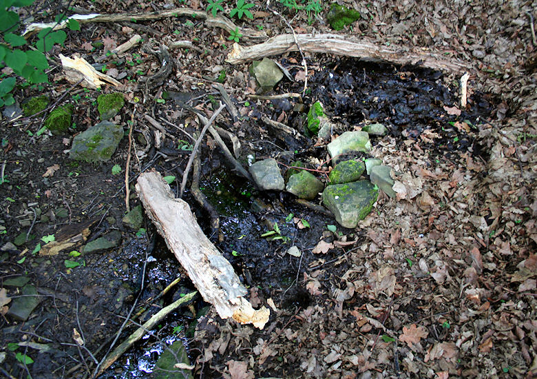 pramen Pod Hrabem (1397) - červen 2009