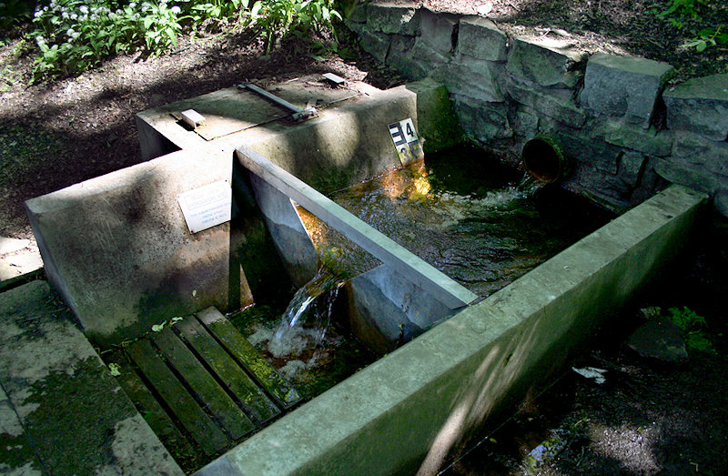 Železitý pramen (1415) - červen 2009