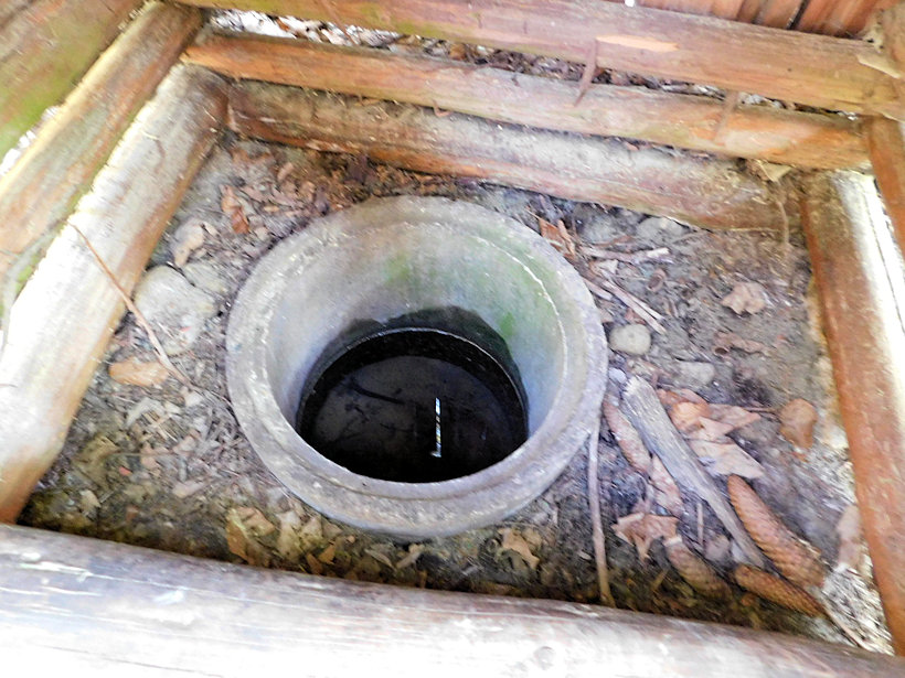 studánka Krajčice (1420) - květen 2020