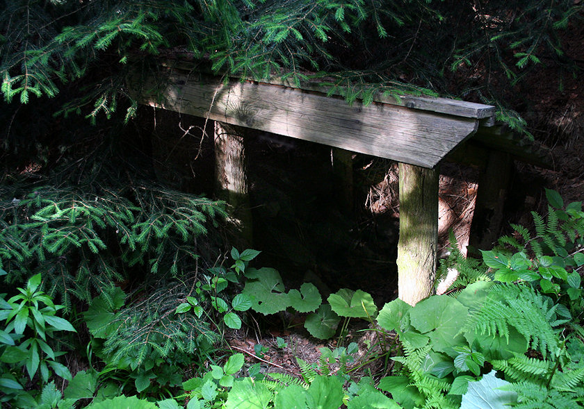 studánka V Srní dolině (1426) - červen 2009