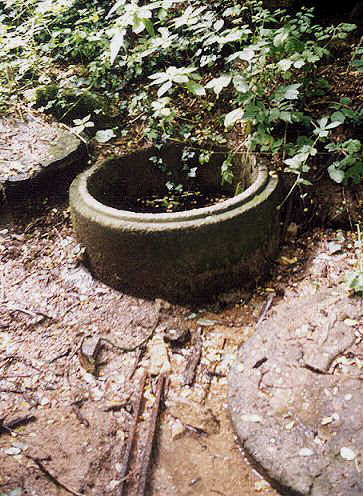 studánka bez jména (143) - září 2003