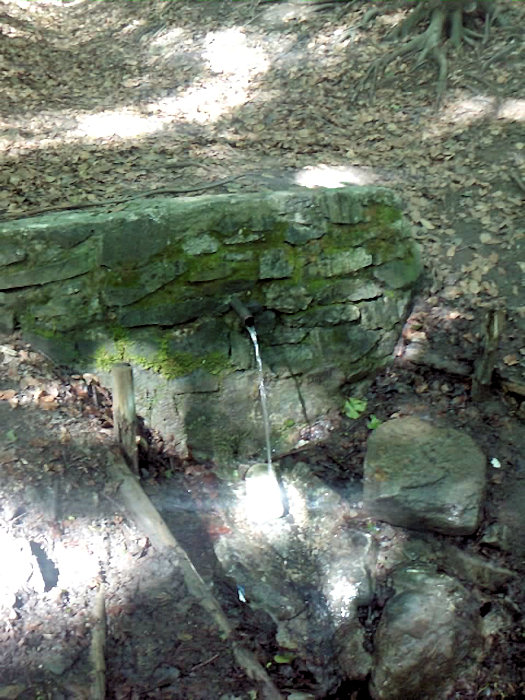Kamenná studánka (1430) - říjen 2023