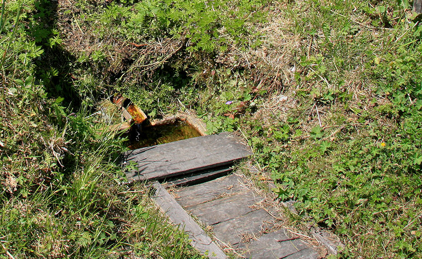studánka Amortův pramen (1435) - červen 2009